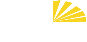 Noyce Consulting logo