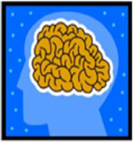 OASIS-E Section C – Cognitive Patterns, BIMS Interview Instructions